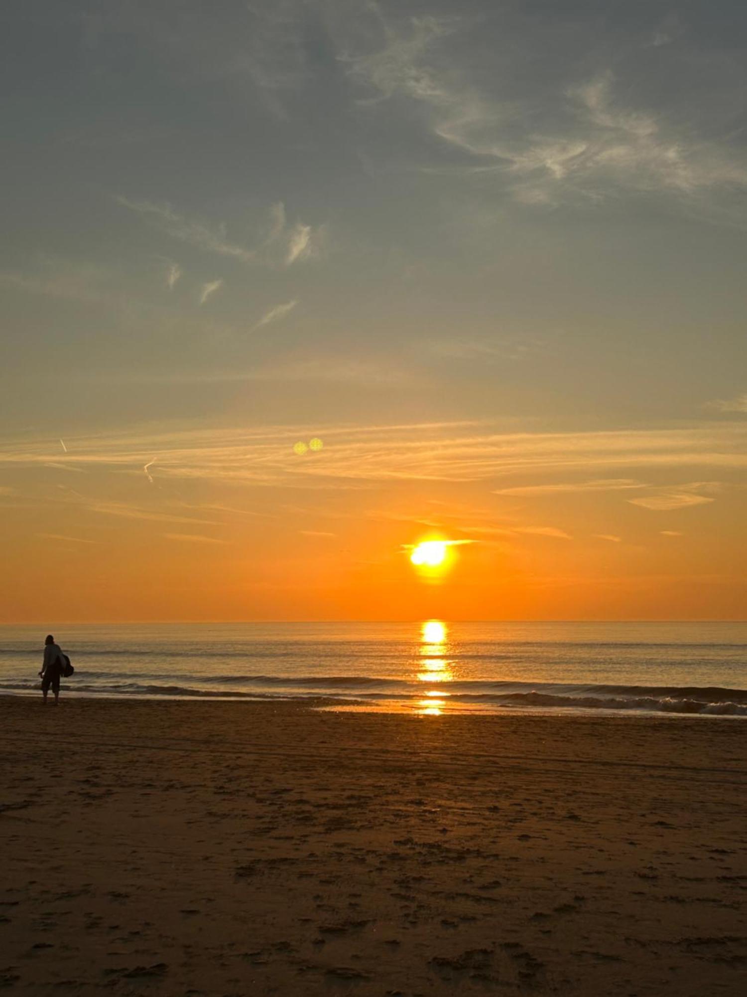 Homestay Leoicom Zandvoort